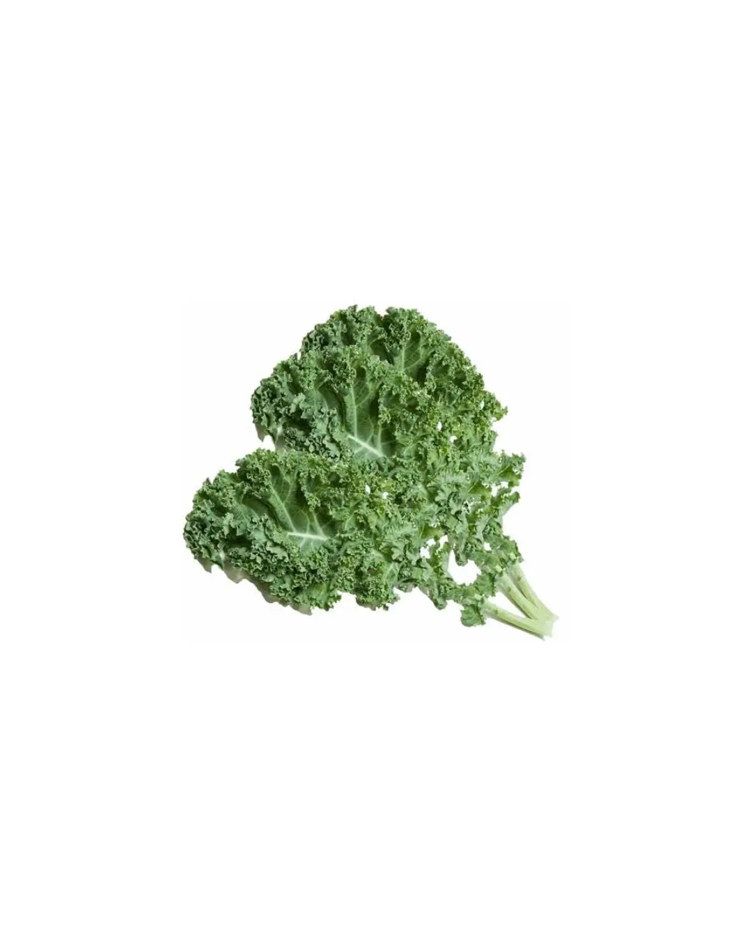 Diseño sin título (40) Kale por atado - Imagen 1