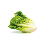 Lechuga criolla 1 atado