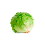 Lechuga capuchina 1 atado