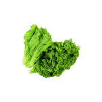Lechuga francesa 1 atado
